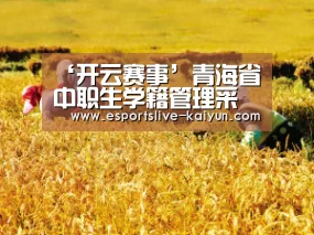 ‘开云赛事’青海省中职生学籍管理采用“国标”网上注册避免重号(图2) 开云赛事
