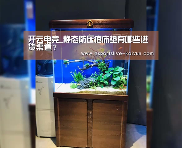开云电竞