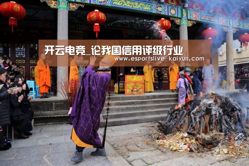 开云电竞_论我国信用评级行业