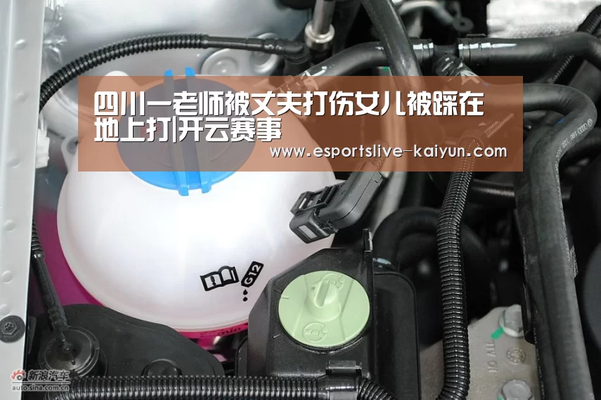 开云竞猜
