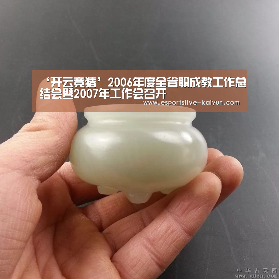 ‘开云竞猜’2006年度全省职成教工作总结会暨2007年工作会召开(图2) 开云电竞