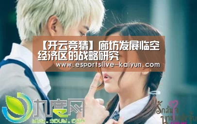 【开云竞猜】廊坊发展临空经济区的战略研究(图2) 开云电竞