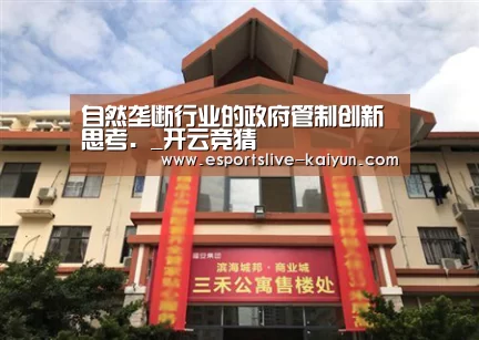 自然垄断行业的政府管制创新思考._开云竞猜(图1) 开云竞猜