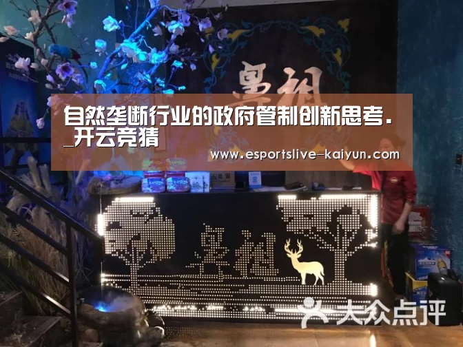 自然垄断行业的政府管制创新思考._开云竞猜(图2) 开云竞猜
